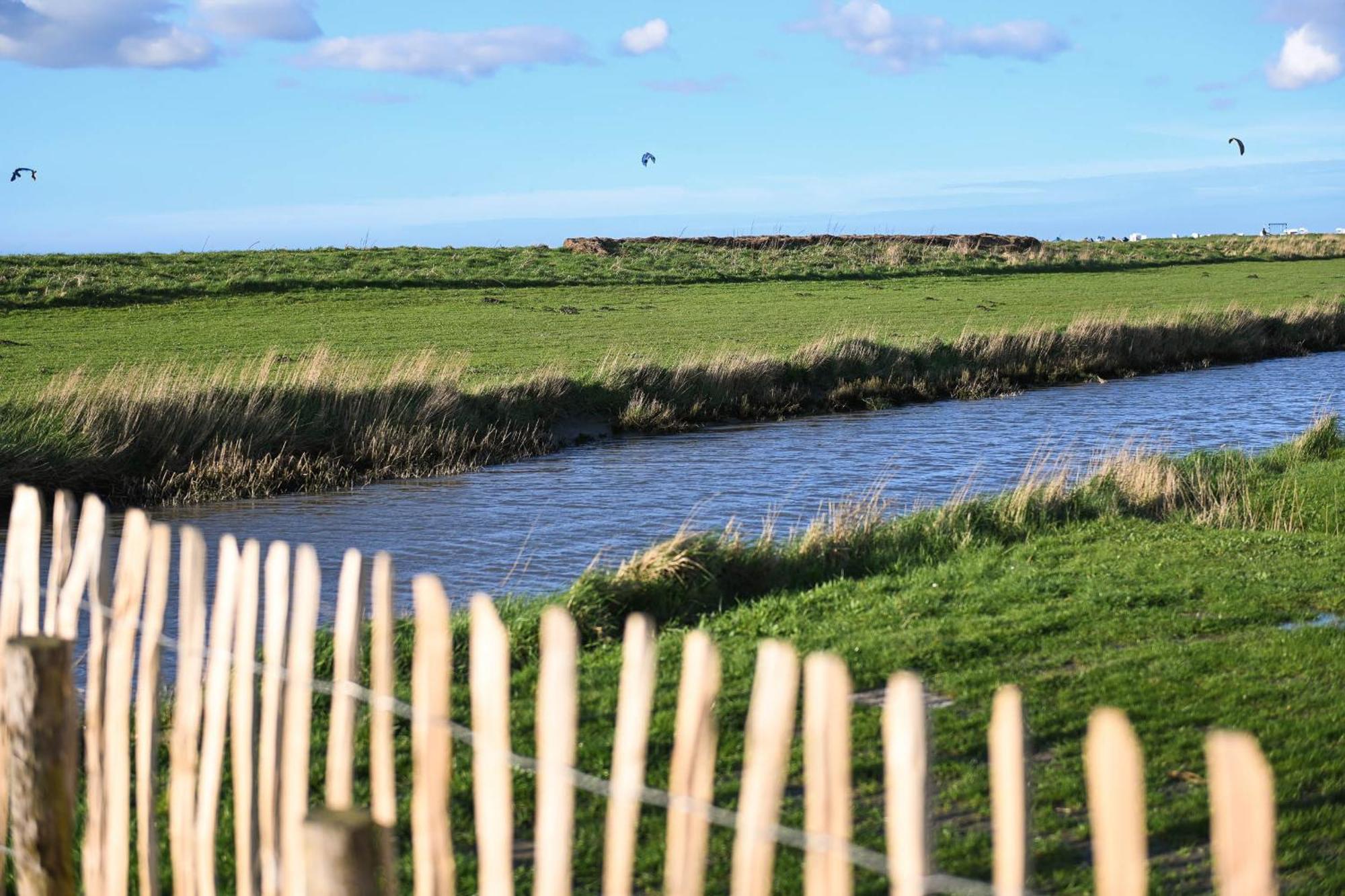 Tiny House Nature 15 Zur Meerseite - Green Tiny Village Harlesiel Carolinensiel Eksteriør billede